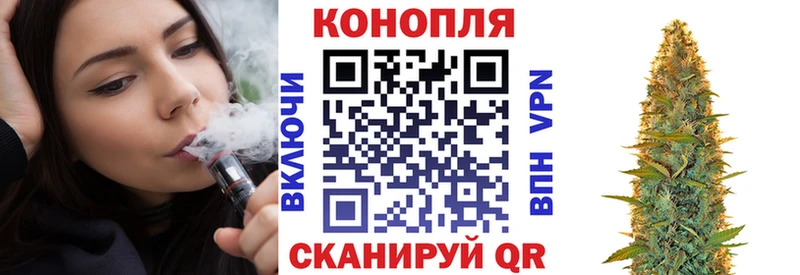 мега ссылка где продают наркотики Новая Ляля Канабис ГИДРОПОН
